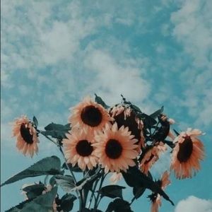 Meet your Posher, Hailey